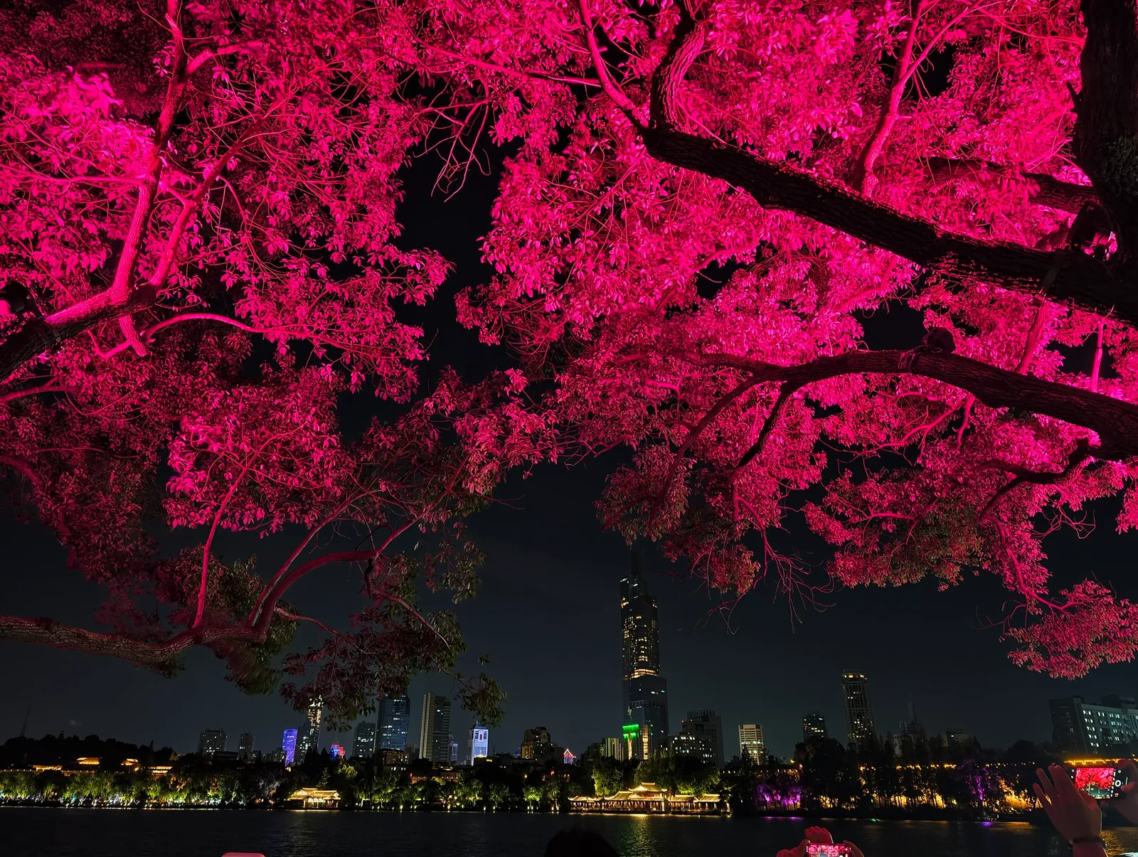 夜色中的城市与粉色树影