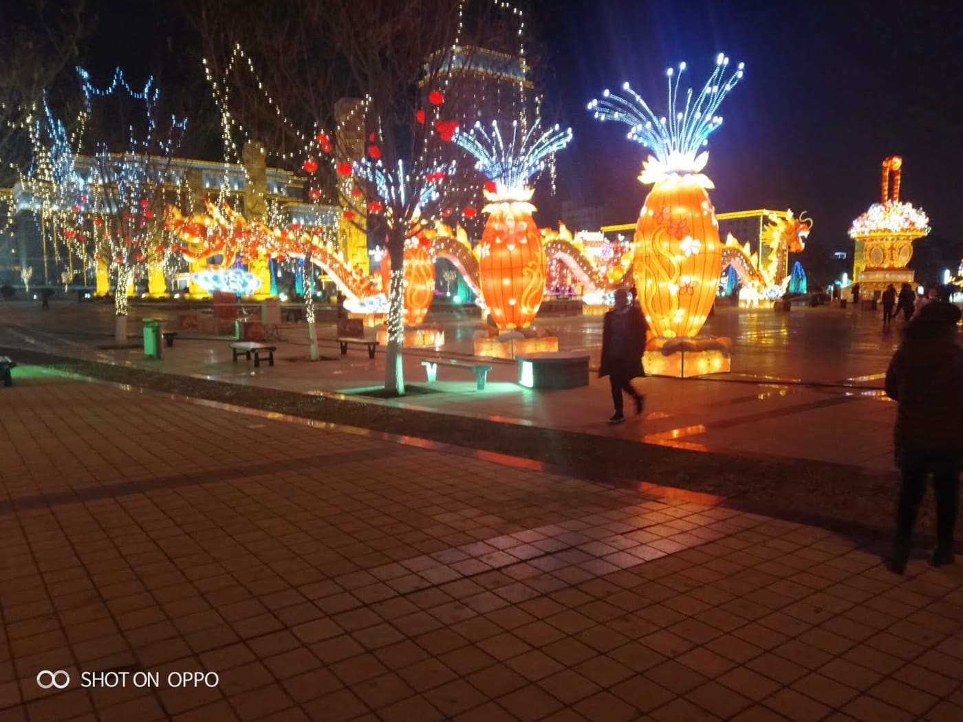 白银2019 年白银过年旅行照片
