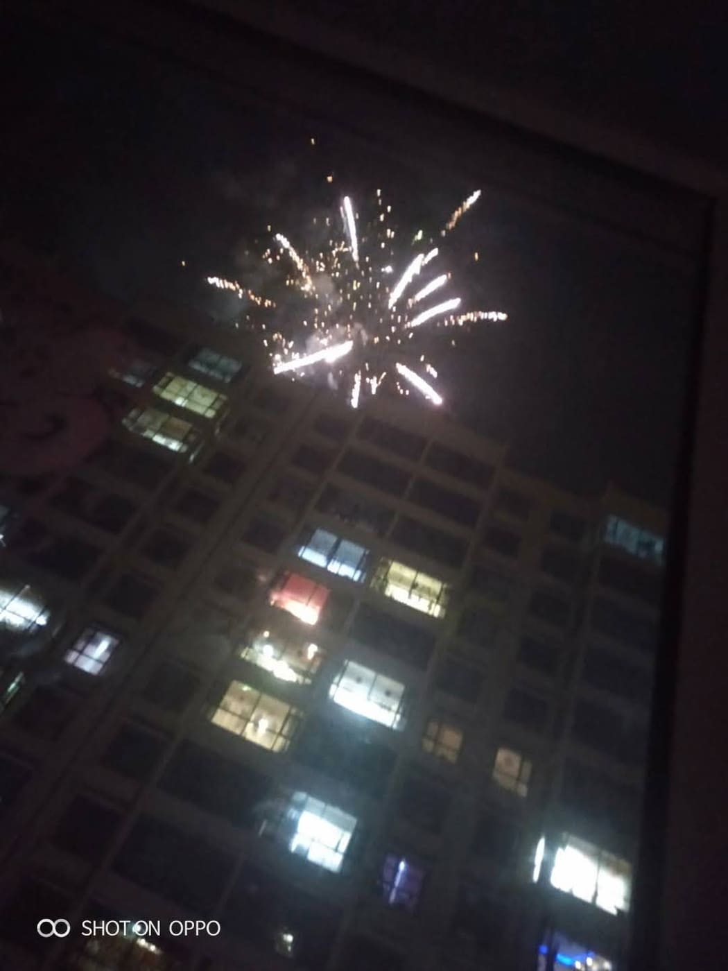 白银2019 年白银过年旅行照片