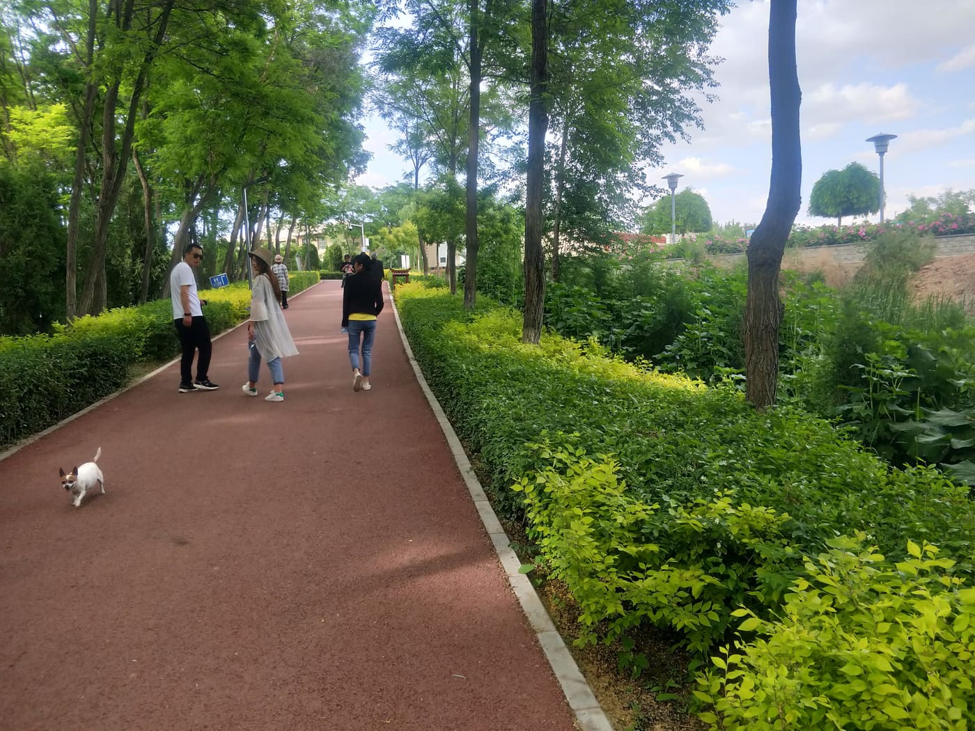白银公园散步旅行照片