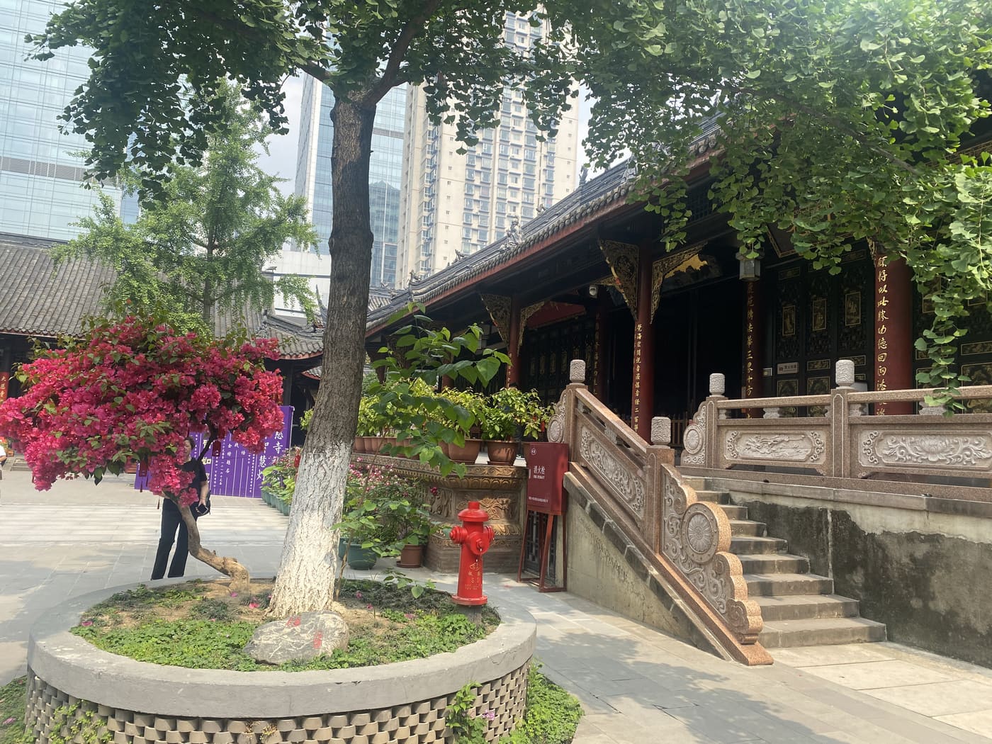 成都成都随拍旅行照片