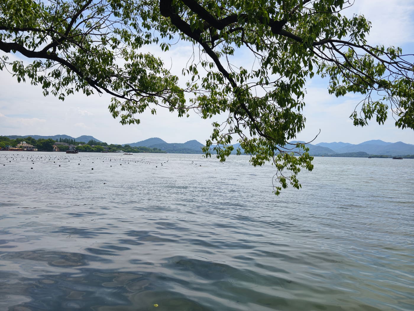 杭州西湖风光旅行照片