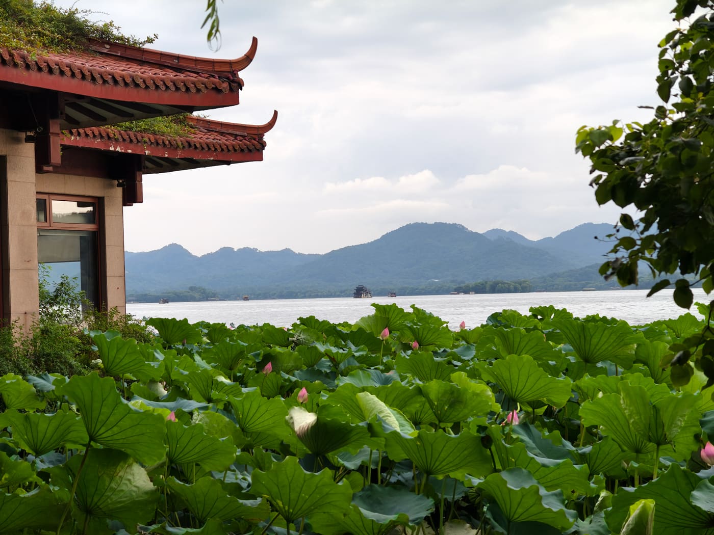 杭州西湖风光旅行照片