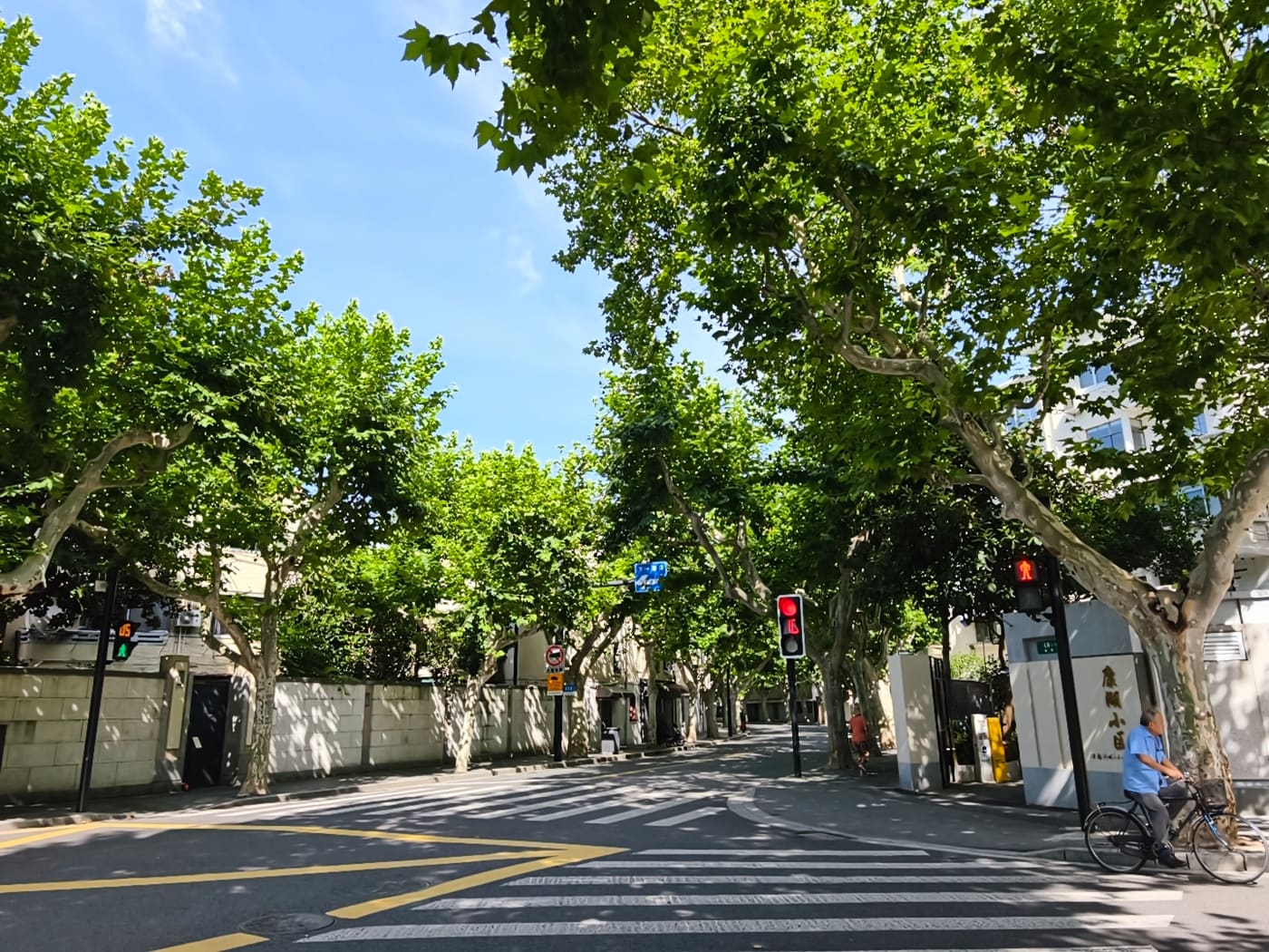 上海武康路旅行照片