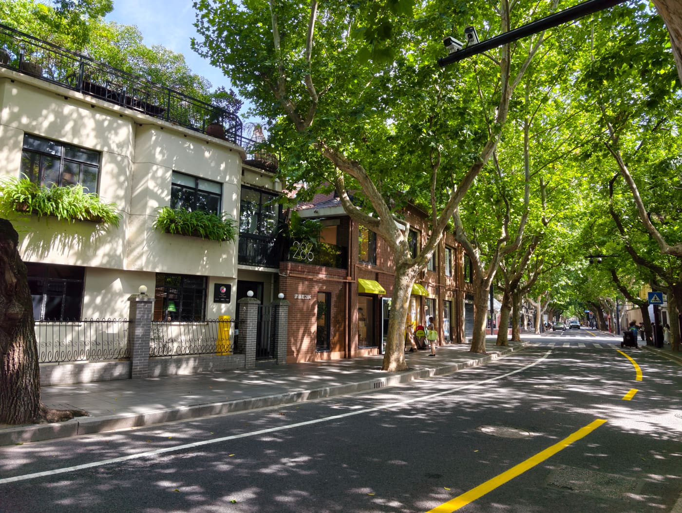 上海武康路旅行照片