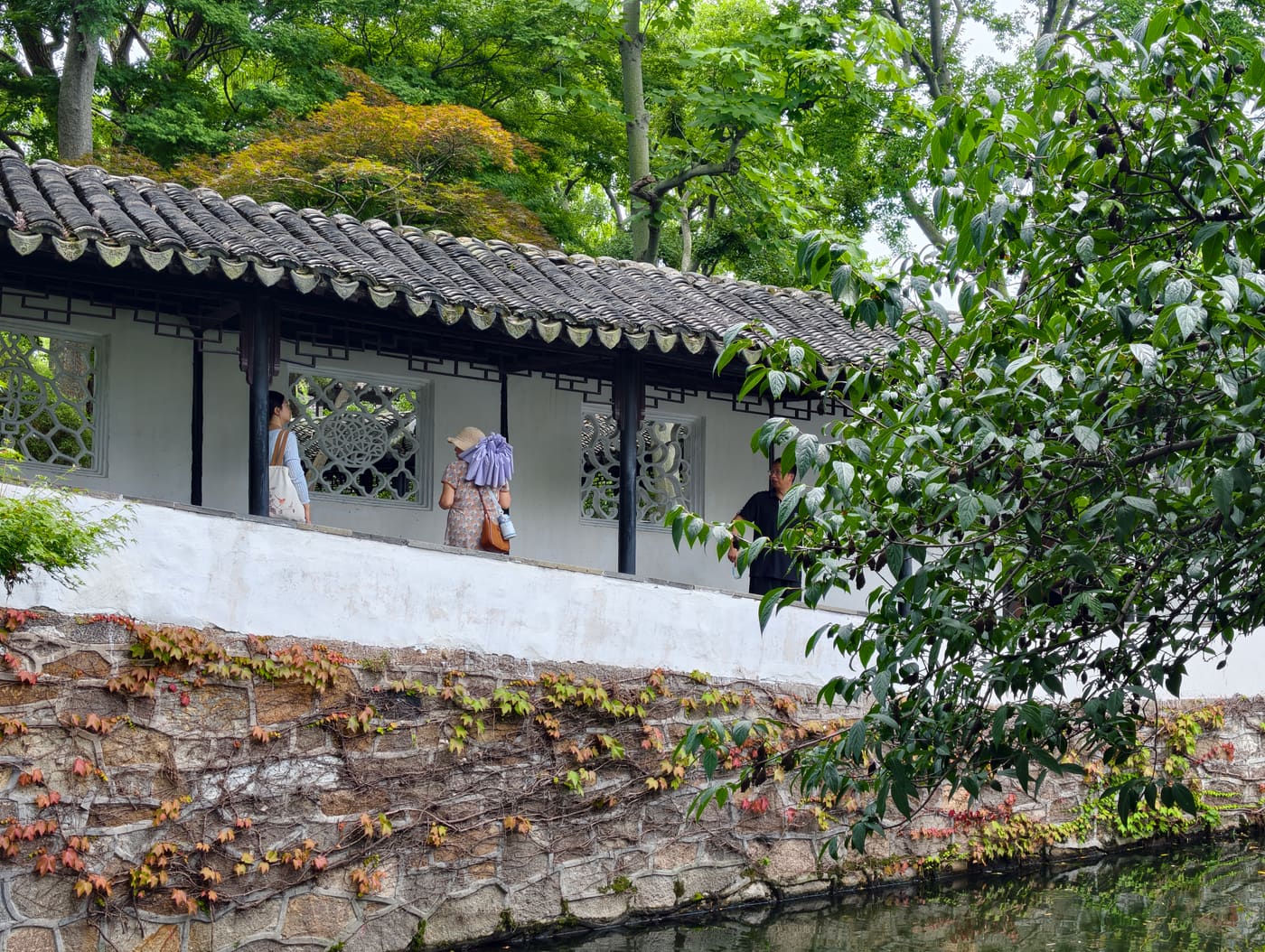 苏州苏州园林旅行照片