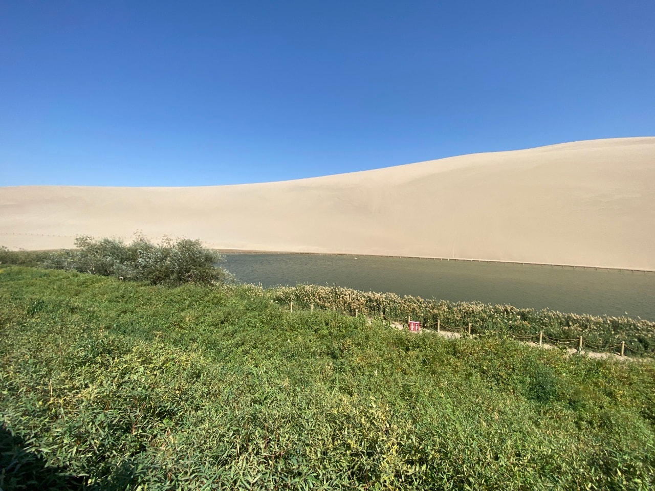 敦煌鸣沙山 · 风吹过沙丘旅行照片